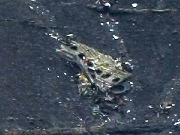 சோதனை சோதனை