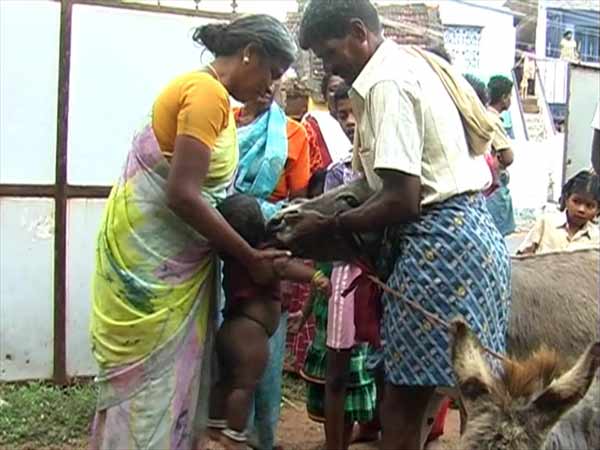 மஞ்சள் காமாலைக்கு தீர்வு: