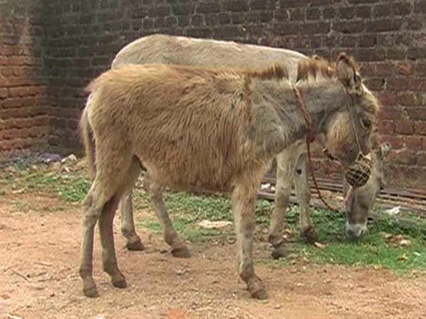 ஸ்பெஷலா ஒன்னும் இல்லை: