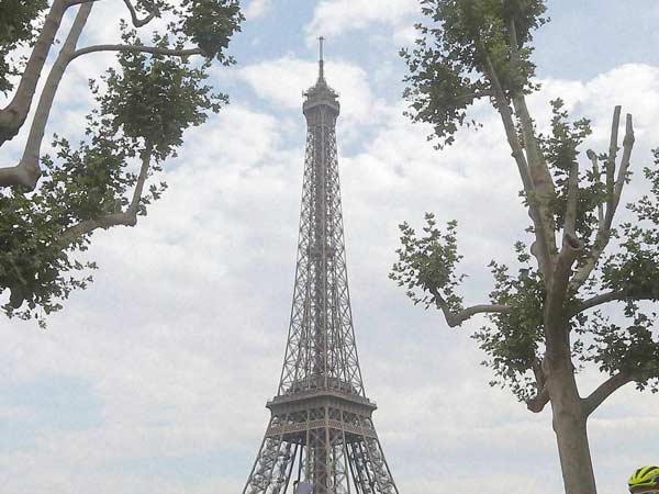 மொத்த கட்டுமான நாட்கள்: