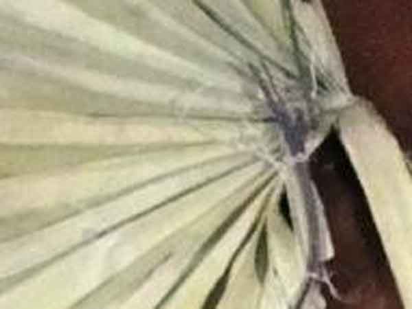 தென்னை இலை விசிறி: