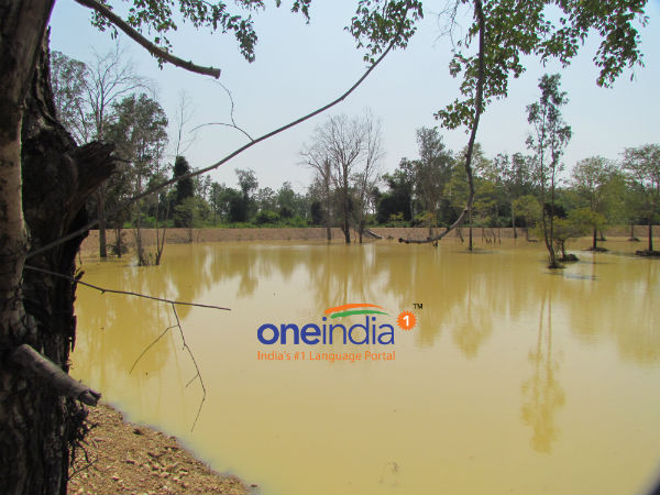 குறையும் நிலத்தடி நீர்: