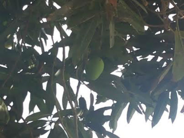 மே மாதம் தான்... மே மாதம் தான்...