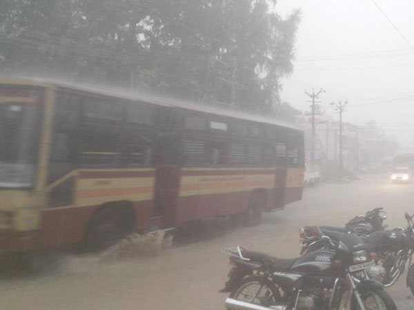 Summer rain brings more cheers in Southern districts