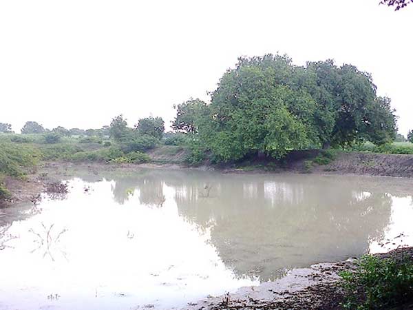 நவலவாலா தலைமைக் குழு: