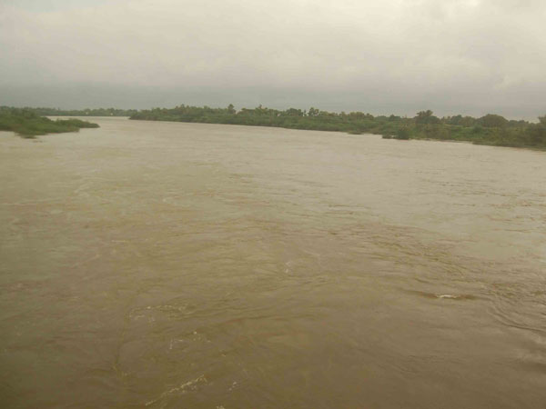 நான்குநேரி வரை கால்வாய்கள்: