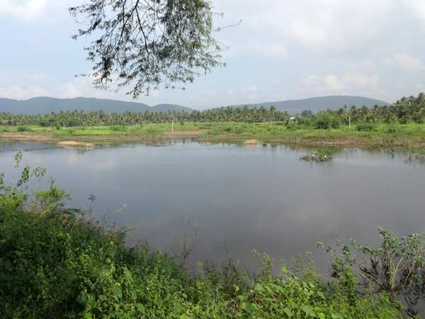 நீர்ப்பிரச்சனைகளுக்கு தீர்வு: