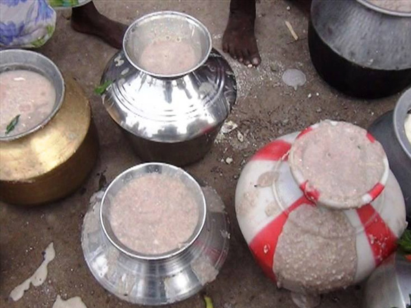 Koovaham festival begins