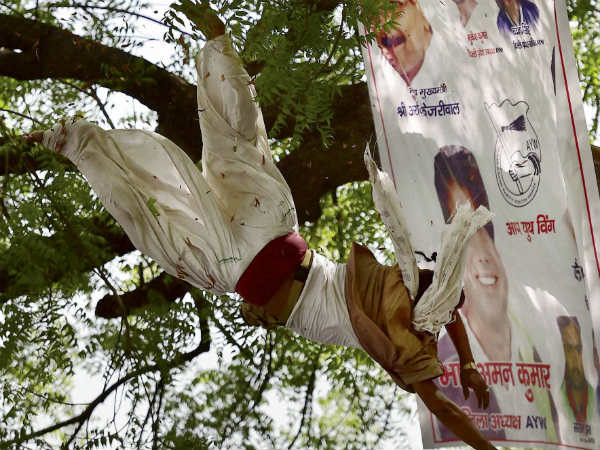 மரக்கிளை முறிந்தது