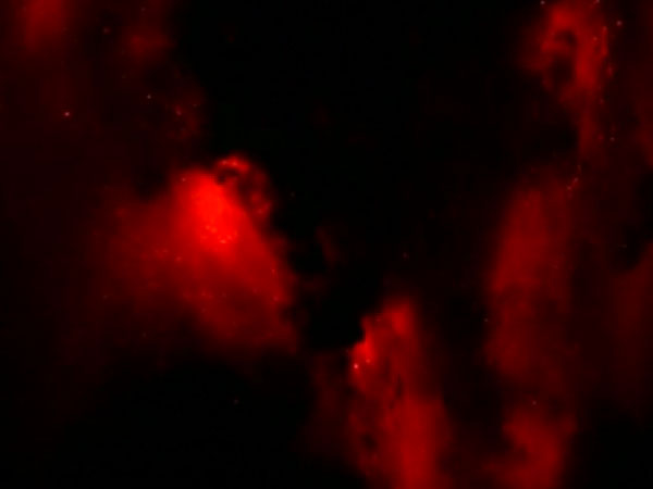 நேரில் பார்வை...