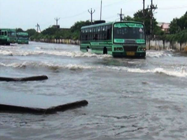பரவிய குளுமை