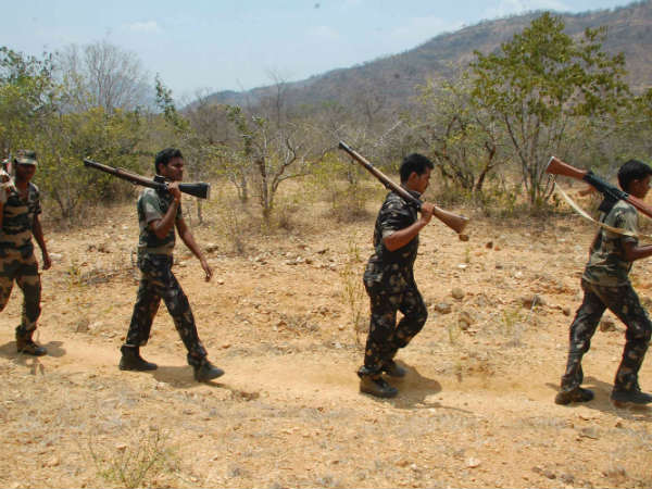 விசாரணை குழு