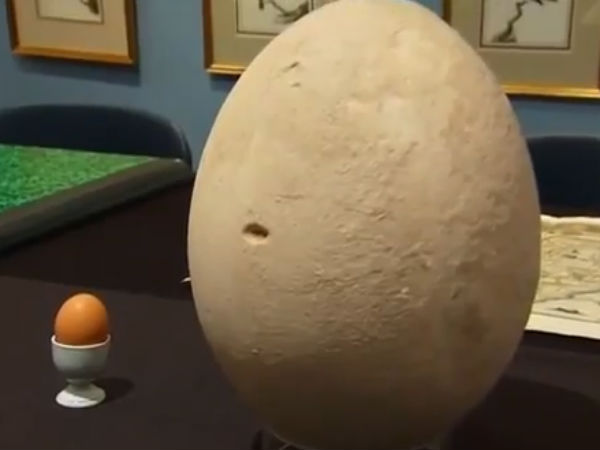 200 சைஸ் பெரியது 200 சைஸ் பெரியது