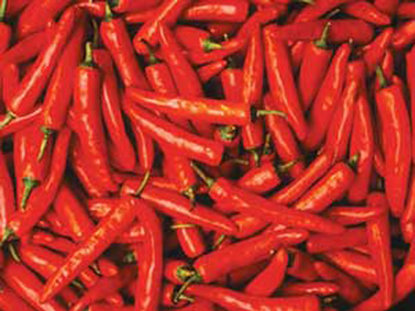 காரம் கம்மி ப்ளீஸ்