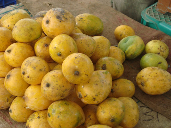 Mango farmers worried in Natham
