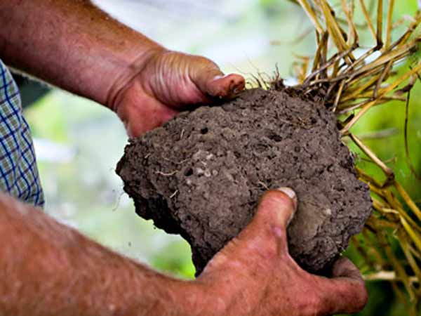 இயற்கை இருக்க செயற்கை எதற்கு
