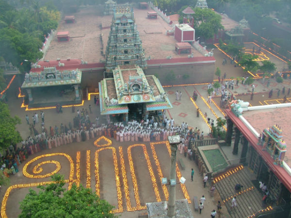 அப்பனையும் விட்டு வைக்கவில்லை