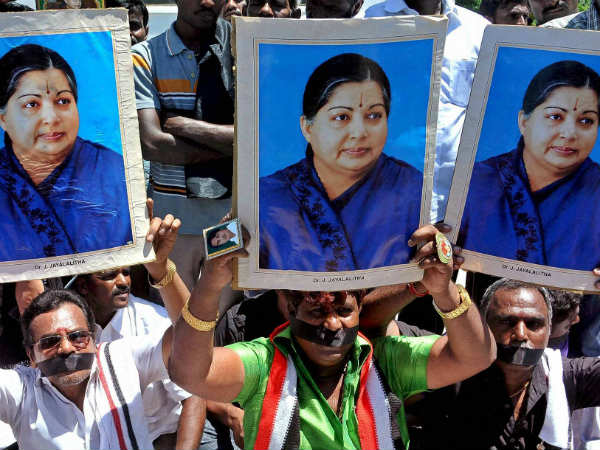 ஊளையிடட்டும் சிறு நரிகள்