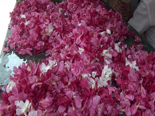 மேலும் உயரும் என கணிப்பு