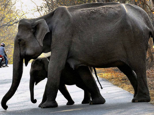 வழி ஏற்படுத்த முடிவு: