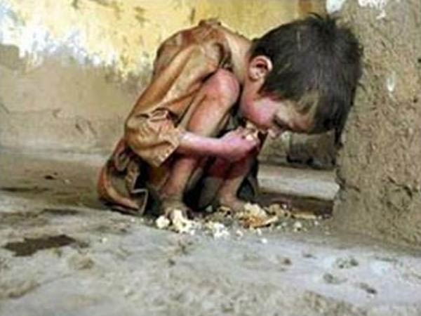 உணவில்லாமல் அவதி: உணவில்லாமல் அவதி: