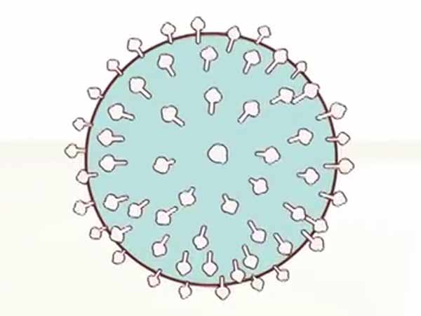  இயற்கையான எதிர்ப்பு சக்தி: