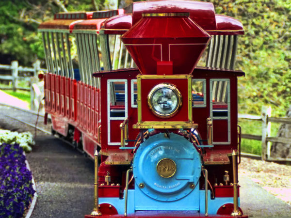 குட்டி ரயில்... குட்டி ரயில்...