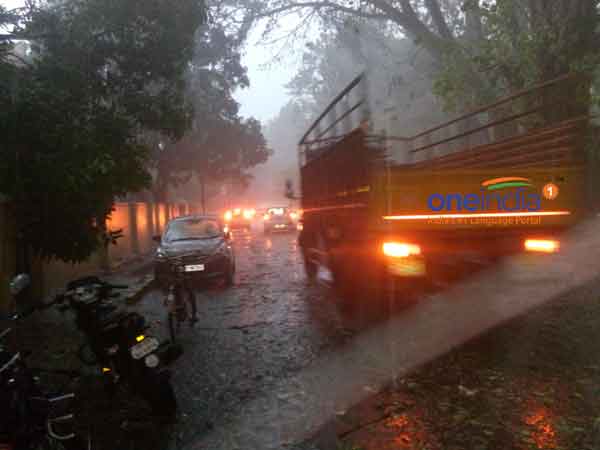 மரங்கள் சாய்ந்தன