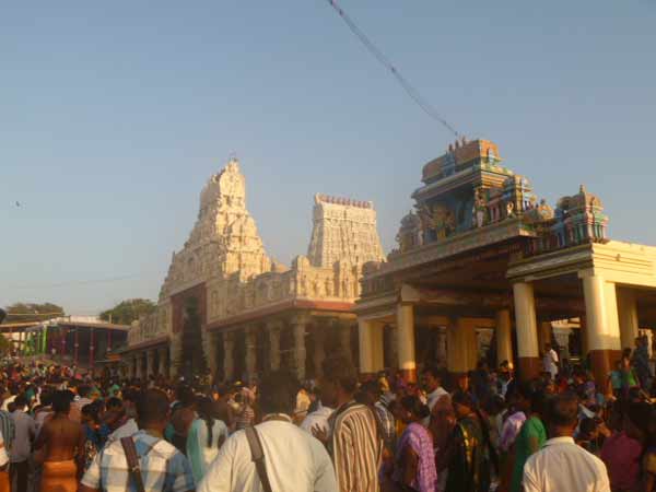 திருப்பரங்குன்றத்தில்