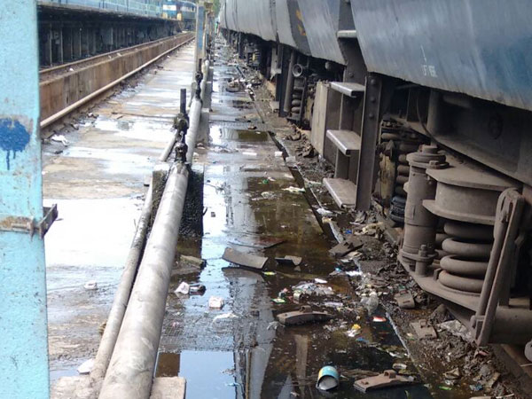 எலிகள், கரப்பான், மூட்டைப் பூச்சிகள்