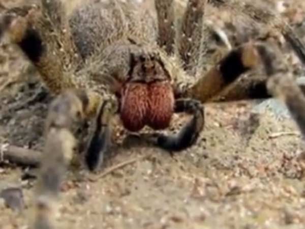 போலீசில் புகார்: