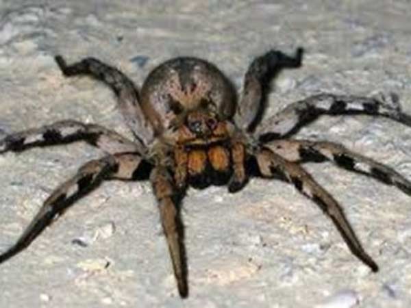 மூடப்பட்ட சூப்பர் மார்க்கெட்: