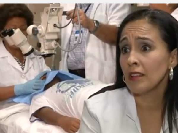 கொசு முட்டை புழு கொசு முட்டை புழு