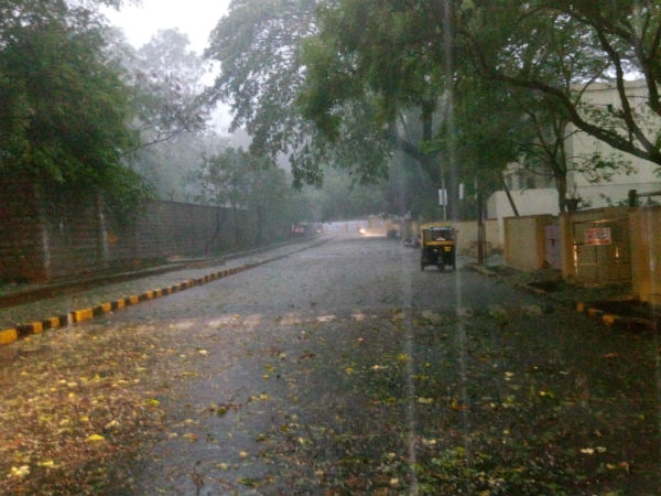 சூறைக்காற்றுடன் கனமழை