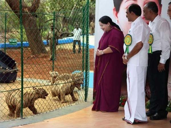 பெயர் சூட்டிய ஜெ