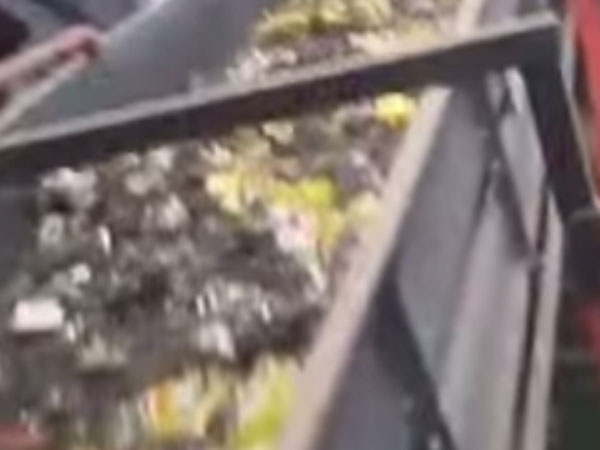 மேகி மேகி