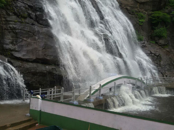 திடீர் வெள்ளப்பெருக்கு: