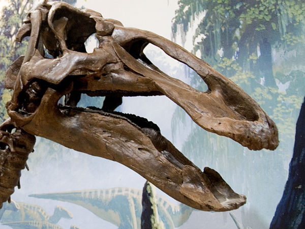 ஆய்வு முடிவுகள்...