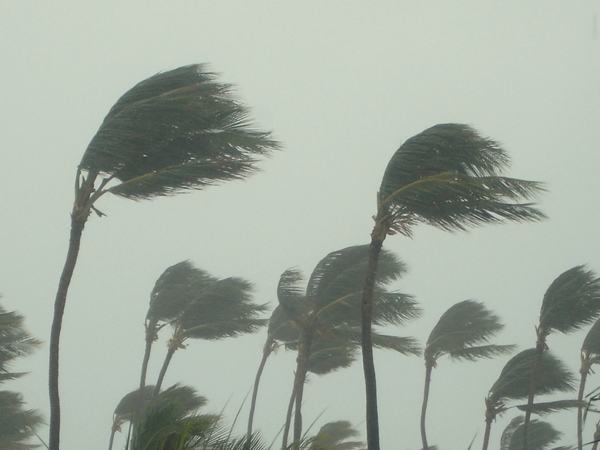 மீட்புப்பணிகள்