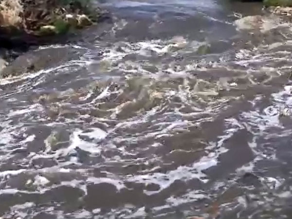 குளக்கரையில் ஆக்கிரமிப்பு