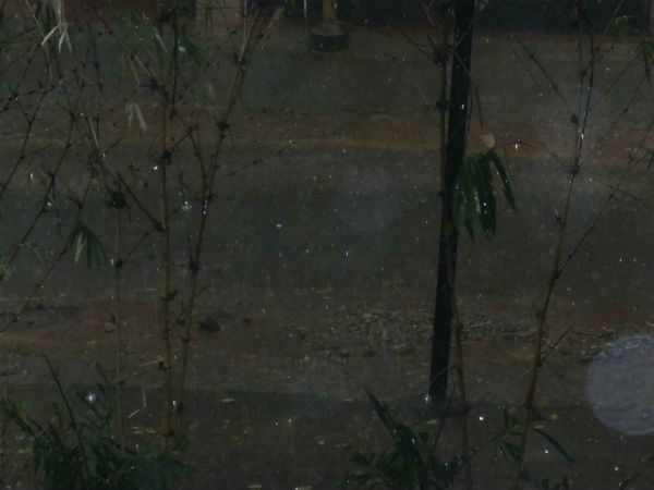 திருப்பூரில் வெள்ளம்