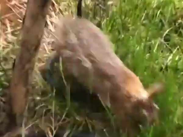 எங்கு எடுக்கப்பட்டது...