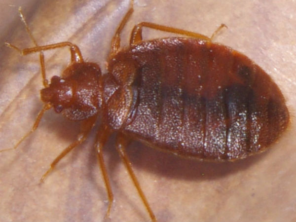 நிலைமை கட்டுக்குள் உள்ளதாம்