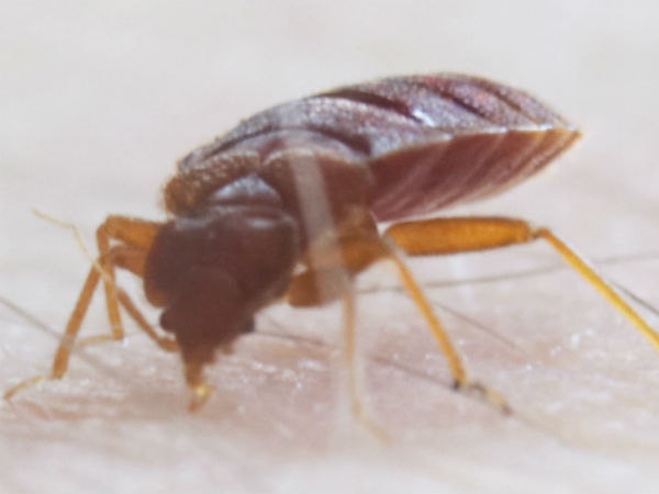 6 பேர் தற்காலிக இடமாற்றம்