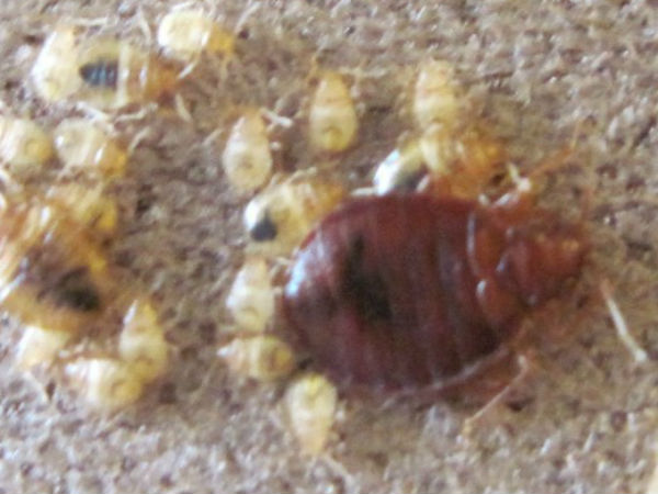 கடைசியாக 2010ல்