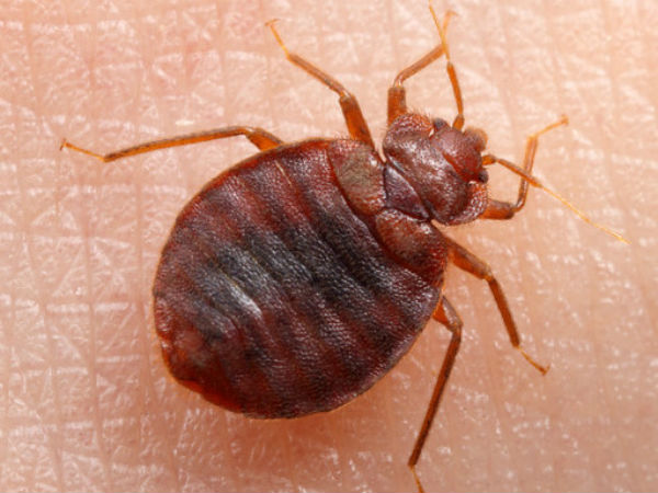 வீட்டில் இல்லை