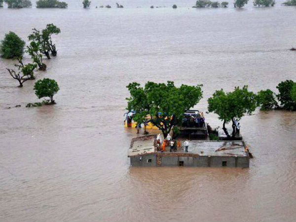 10 Lions Killed After Floods in Gujarat