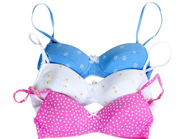 மறுபடியும் வந்தா பிடிச்சிரனும்