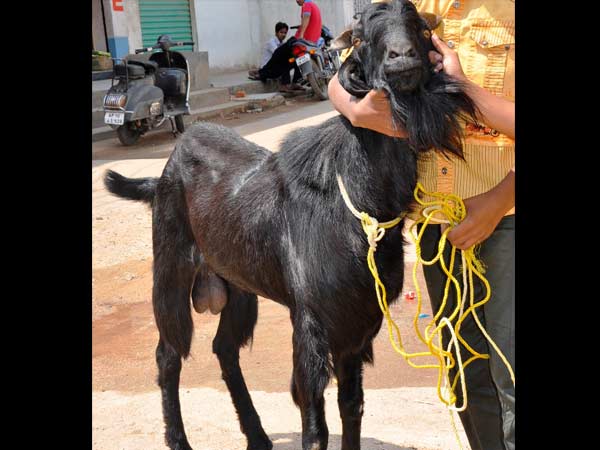 போட்டா போட்டி