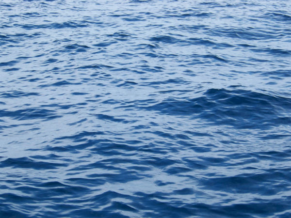 முடக்கம்...